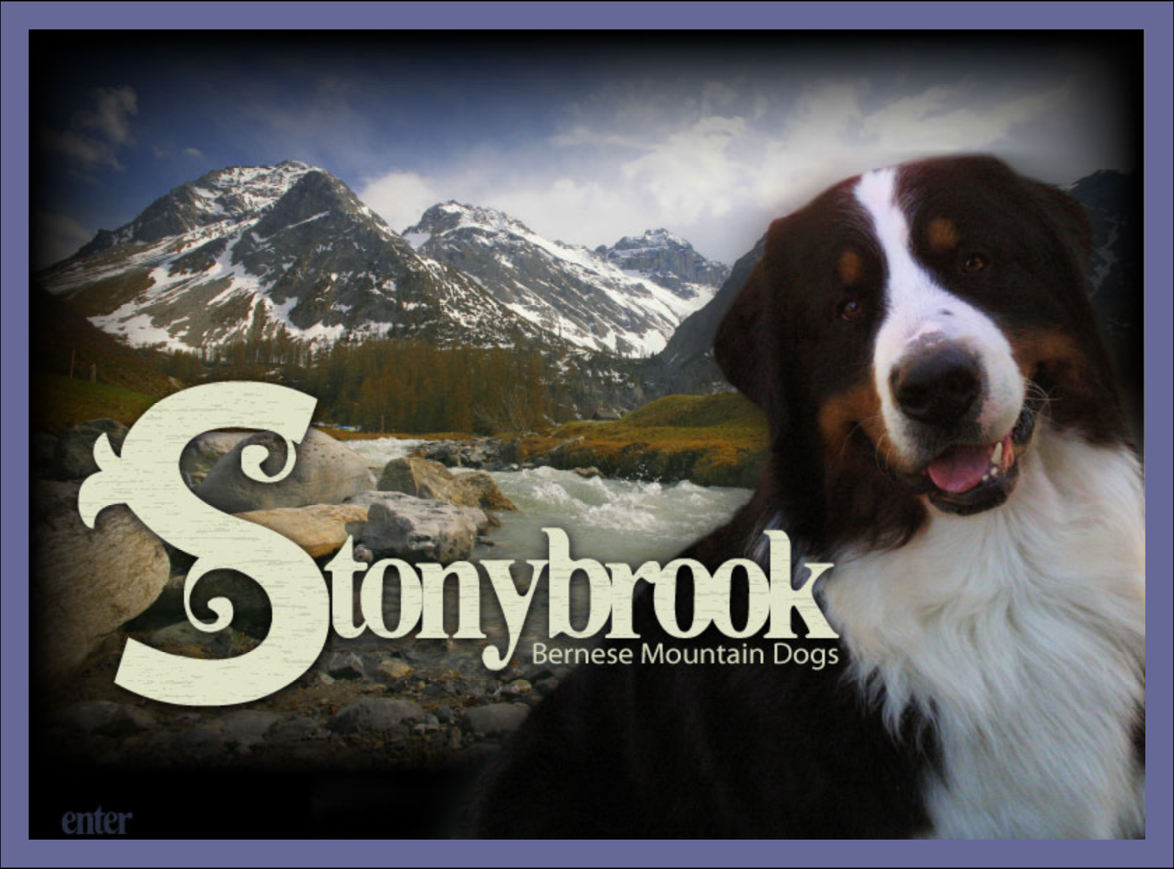 Stonybrook Bernese Mountain Dogs — a Bernese Mountain Dog in front of a snow-capped mountain landscape